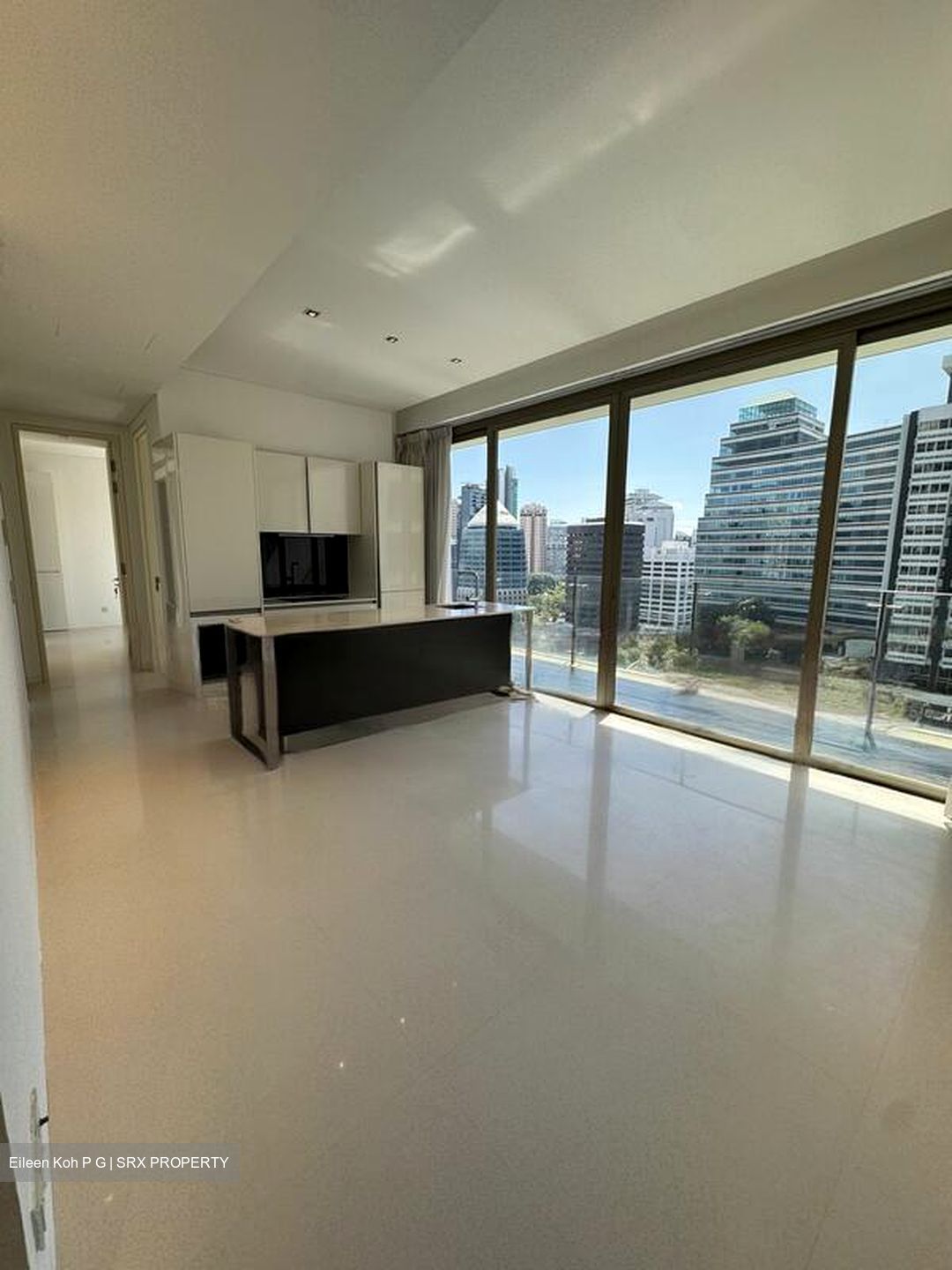 Scotts Square (D9), Apartment #481296361